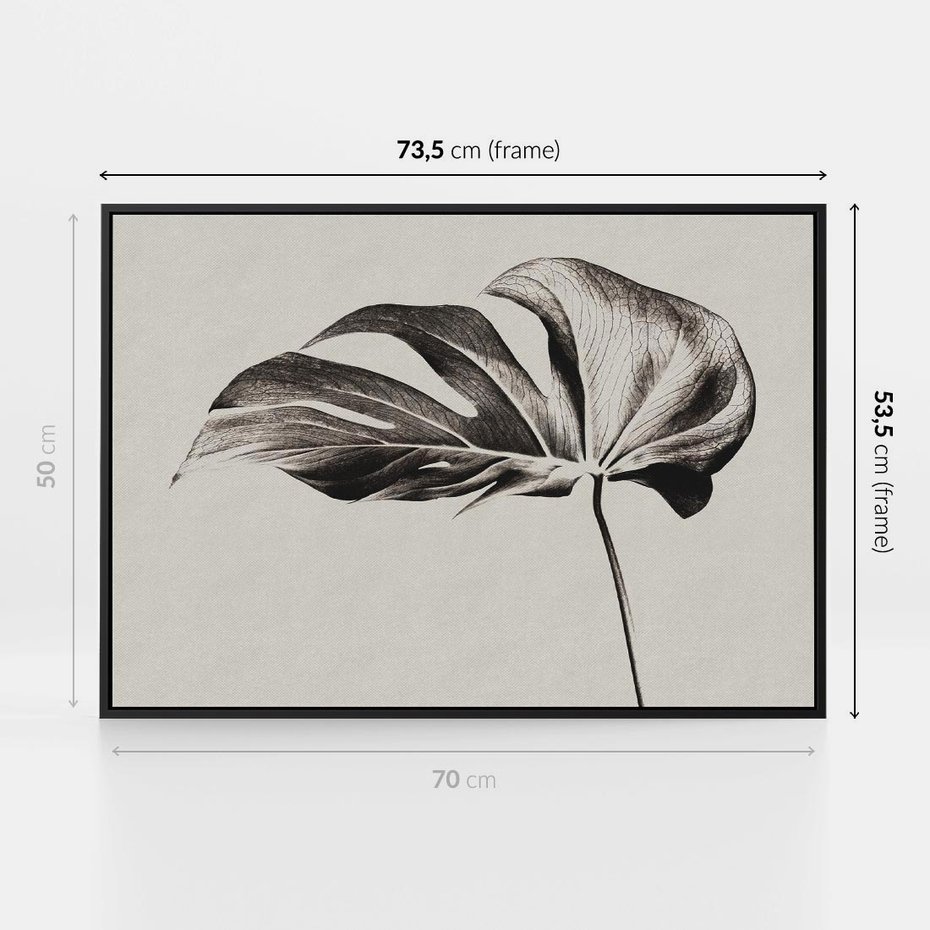 Obraz w ramie 70x50 - Szepczący Liść - szkic, czarno biały - rama czarna