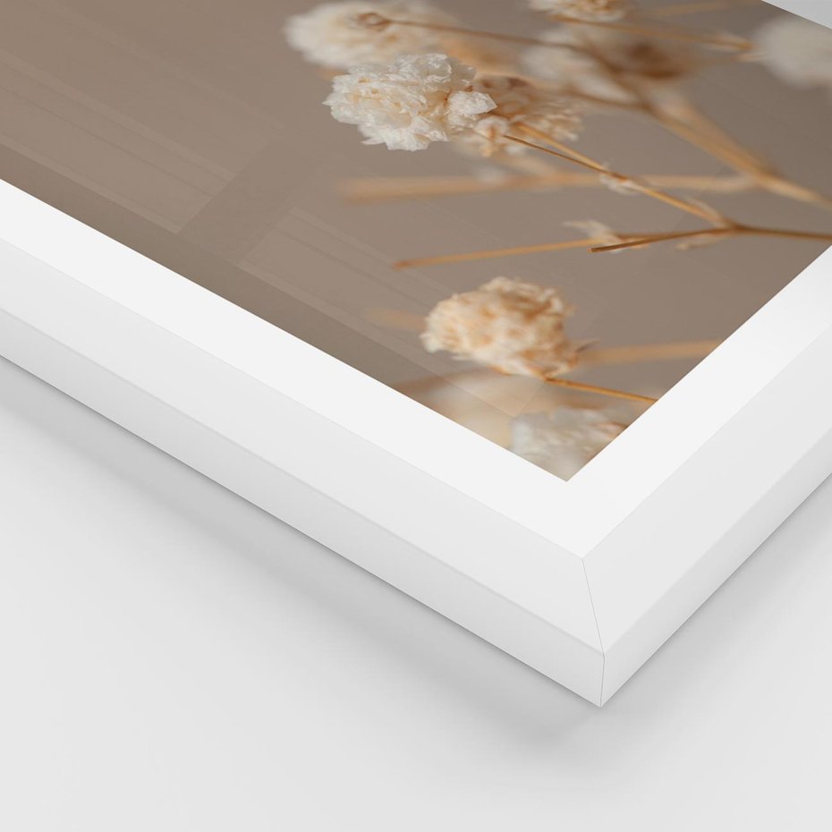 Plakat w ramie 30x40 - Przezroczyste piękno - gipsówka, suche - rama biała