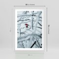 Plakat w ramie 50x70 - Zima w Detalu: Gałęzie ze Szronem i Śniegiem - śnieg, zima - rama biała