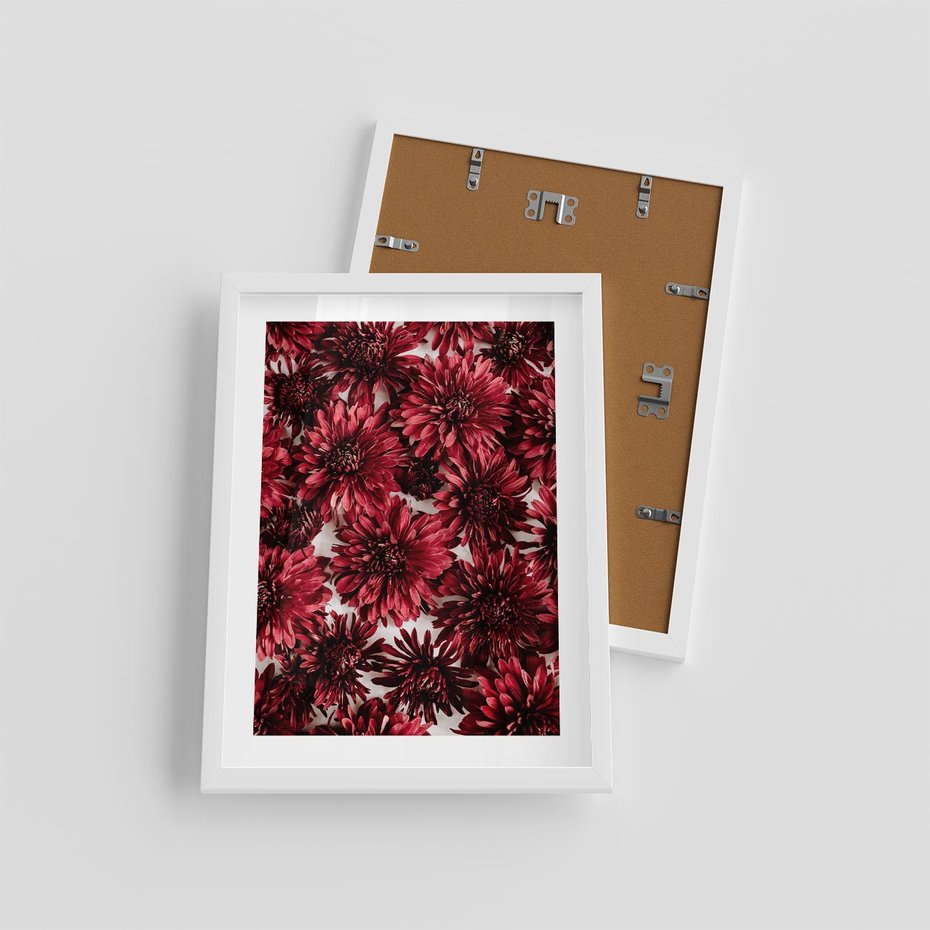 Plakat w ramie 30x40 - Energia Kwiatów - czerwone kwiaty, kompozycja - rama biała