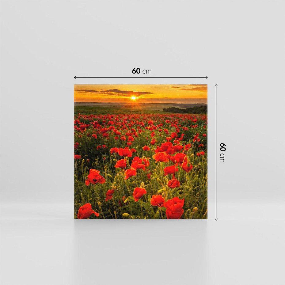 Obraz na płótnie 60x60 - Maki przy zachodzie słońca - maki, zachód