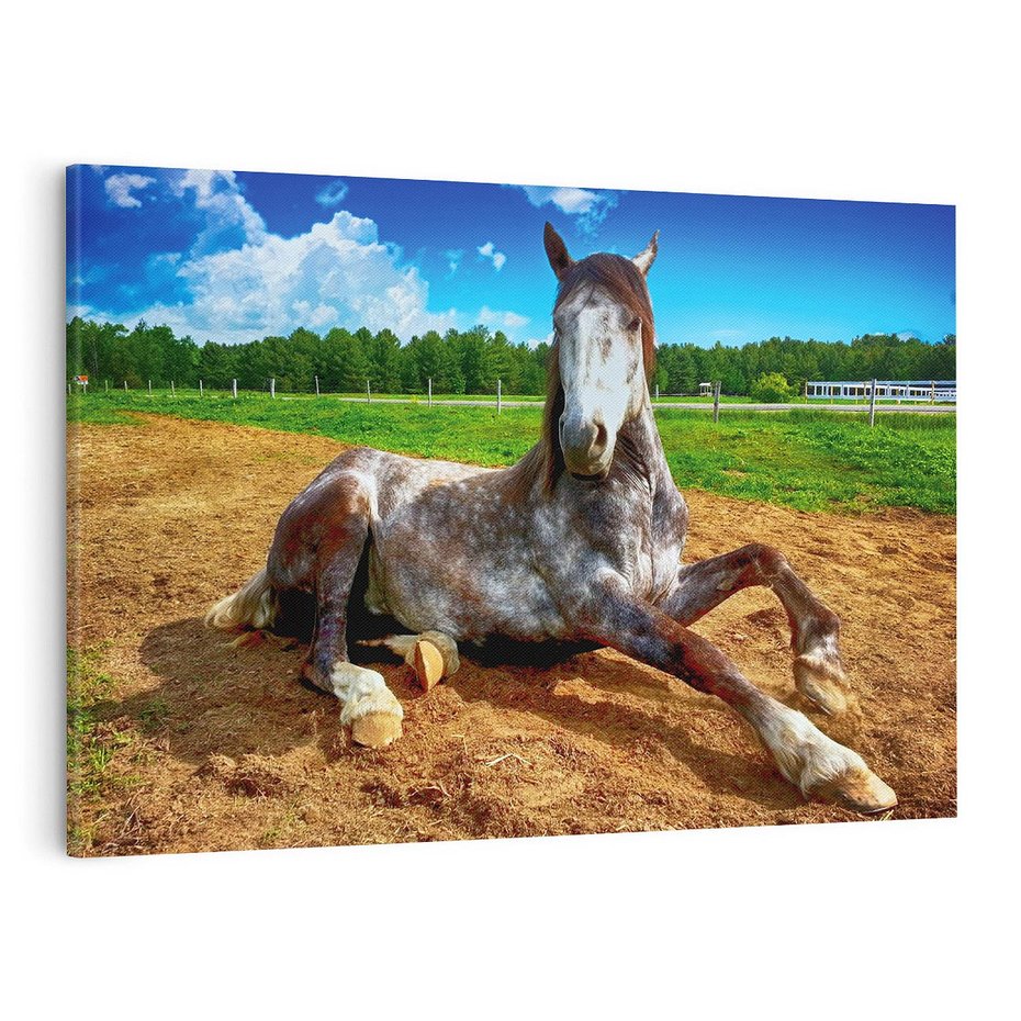 Obraz na płótnie 100x70 - Konie - siła natury - koń, konik