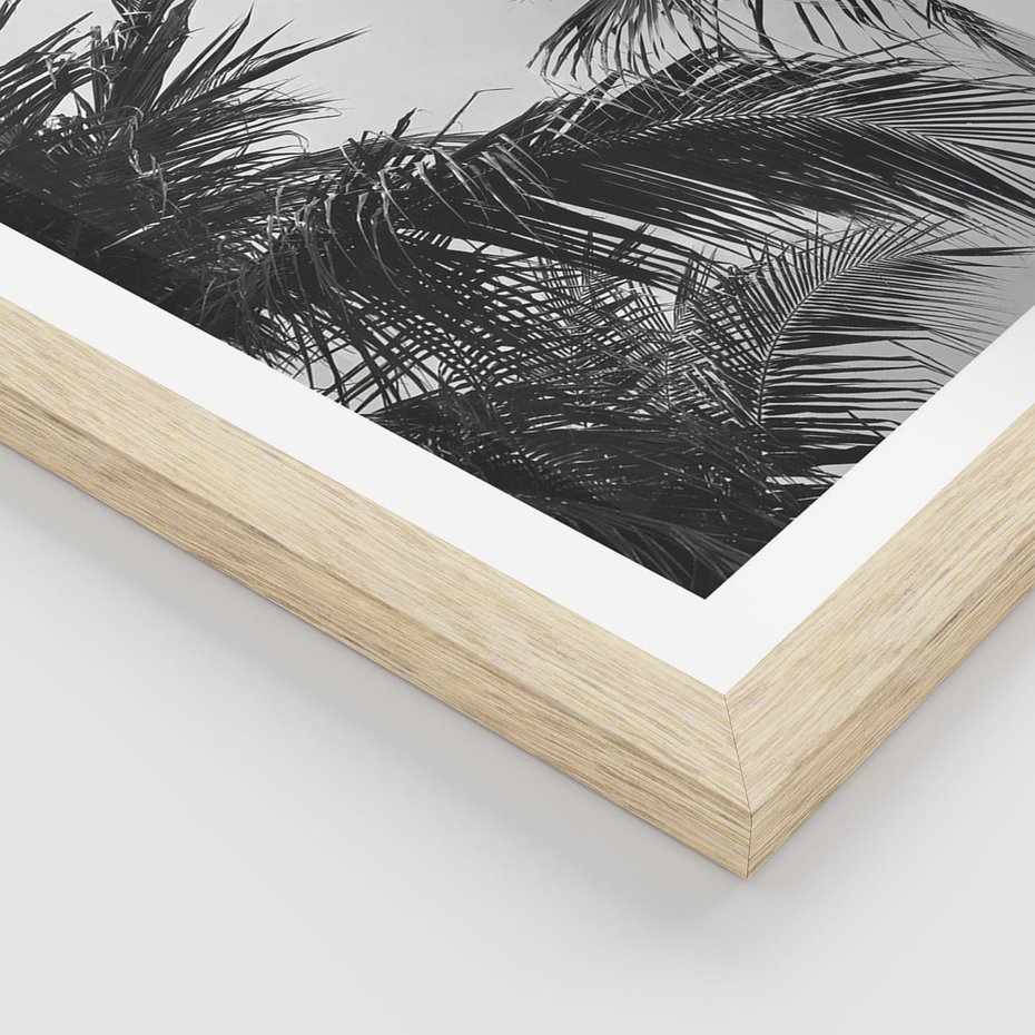 Plakat w ramie 50x70 - Palmy w Monochromii - palmy, tropikalne palmy - rama drewno