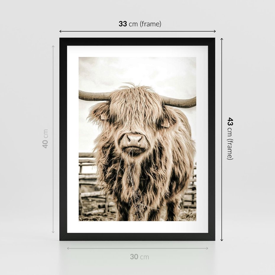 Plakat w ramie 30x40 - Klimat Wiejskiego Życia - amerykańska krowa, byk - rama czarna