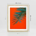 Plakat w ramie 40x50 - Egzotyczny Urok - liście, palma - rama drewno