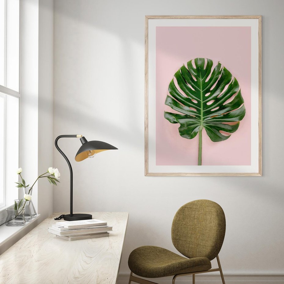 Plakat w ramie 50x70 - Monstera w Różowym Świetle - liść monstery, różowe tło - rama drewno