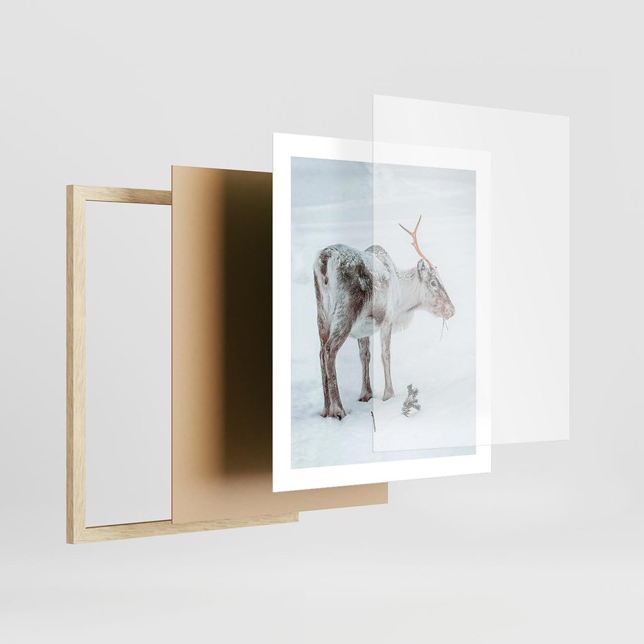 Plakat w ramie 40x50 - Magia Świąt - renifer na śniegu, śnieg - rama drewno