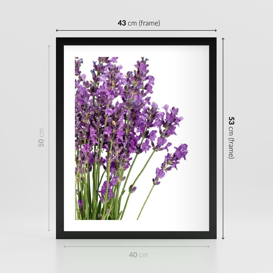 Plakat w ramie 40x50 - Pola lawendy w pełnym rozkwicie - lawenda, kwiaty - rama czarna