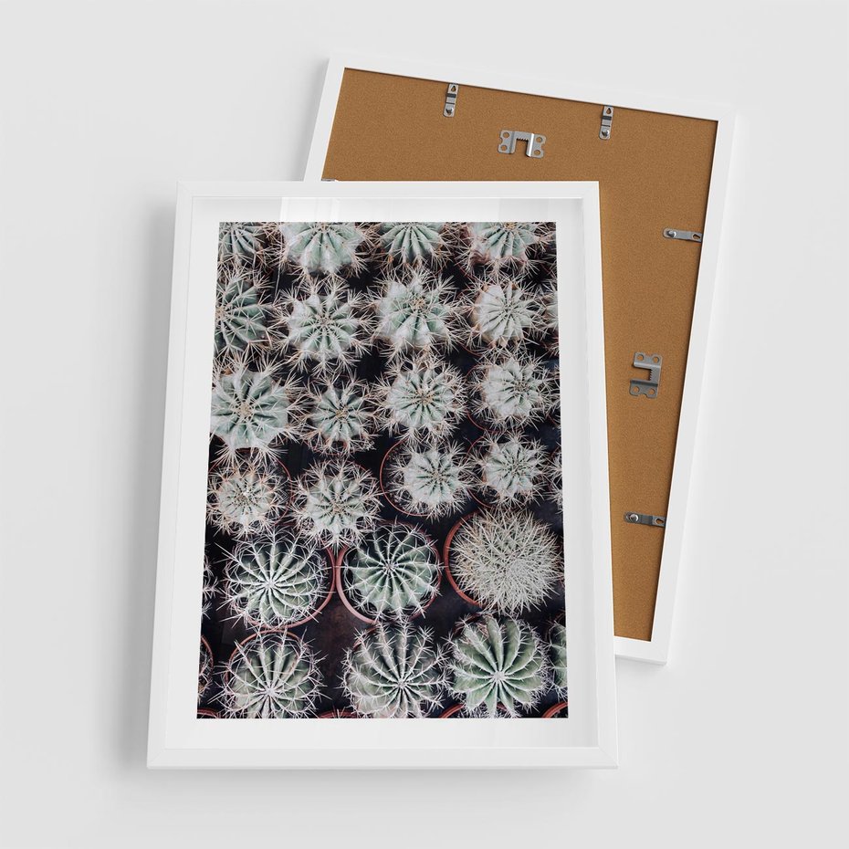Plakat w ramie 50x70 - Wzór Kaktusów - kaktusy w doniczkach, ujęcie z góry - rama biała