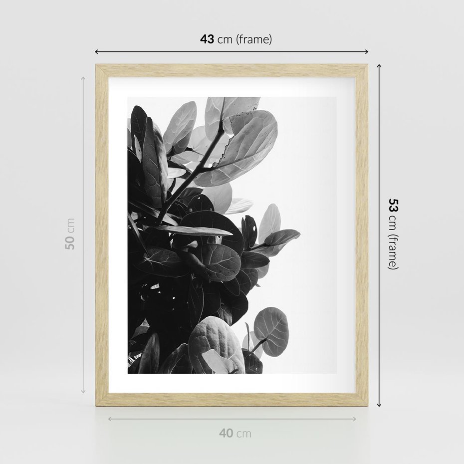 Plakat w ramie 40x50 - Blisko Natury - liście, rośliny tropikalne - rama drewno