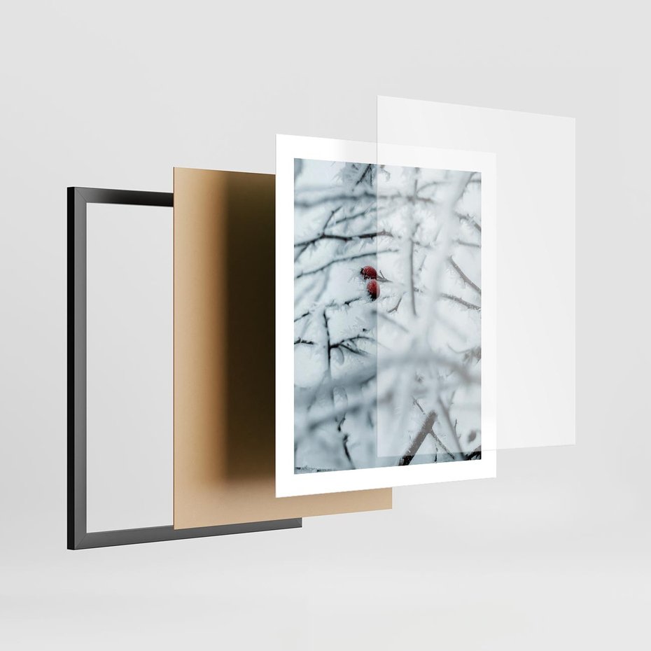 Plakat w ramie 40x50 - Zima w Detalu: Gałęzie ze Szronem i Śniegiem - śnieg, zima - rama czarna