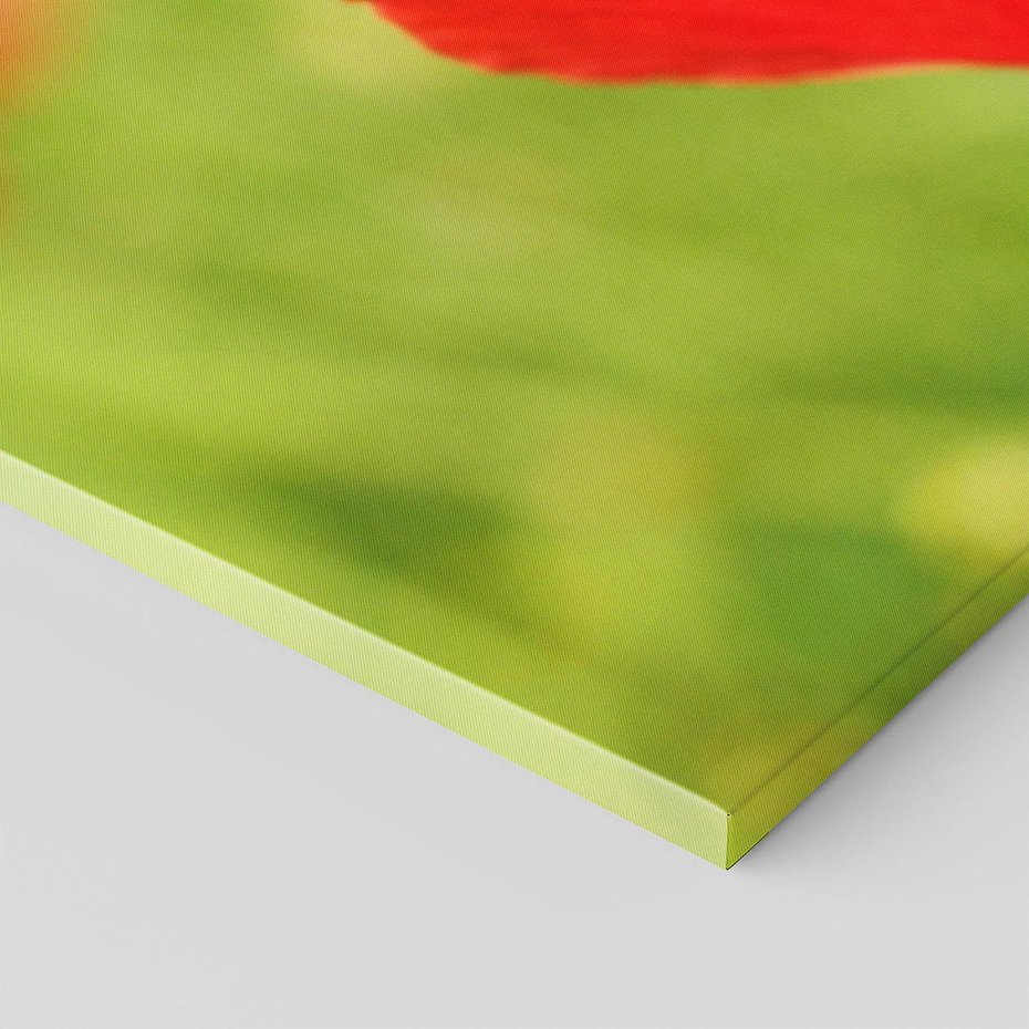 Obraz na płótnie 120x60 - Magia maku na łące - mak, łąka