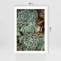 Plakat bez ramy 50x70 - Zielona Uroda Sukulentów - sukulenty, zielone liście