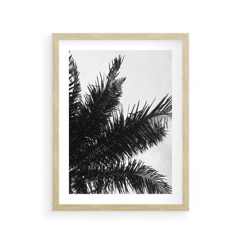 Plakat w ramie 50x70 - Czas Zapomnienia - palmy, czarno biała fotografia - rama drewno