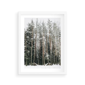 Plakat w ramie 30x40 - Sypiący Śnieg - las w zimie, drzewa pod śniegiem - rama biała