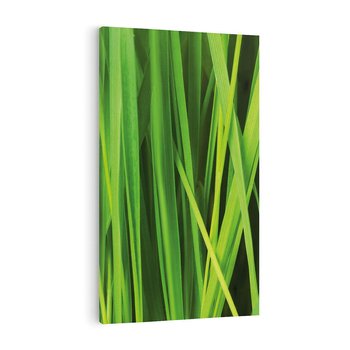 Obraz na płótnie 80x120 - Trawa w abstrakcji: natura przekształcona - trawa, abstrakcja