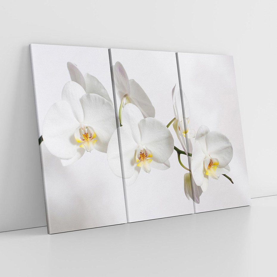 Obraz na płótnie 120x80 - Orchidea Kwiat - orchidea, kwiat