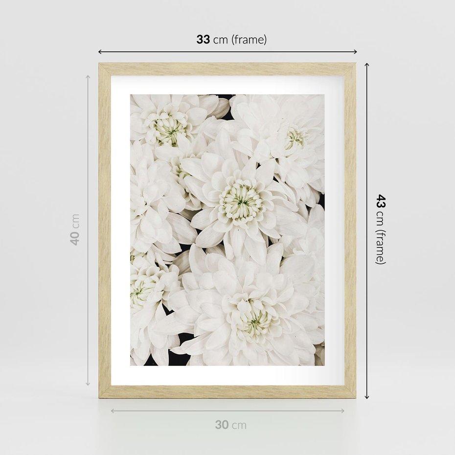 Plakat w ramie 30x40 - Białe Kwiaty: Płatki Delikatności - białe kwiaty, zbliżenie - rama drewno