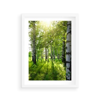 Plakat w ramie 30x40 - Lasowa Księżycowa Noc - las, drzewa - rama biała