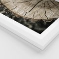 Plakat w ramie 40x50 - Wnętrze Natury - pień, przecięty pień - rama biała