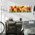 Obraz na płótnie 120x40 - delikatność kwiatowego świata - tulipany, kwiaty