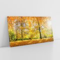 Obraz na płótnie 100x50 - Jesień w Lesie: Urok Lasu - jesień, las