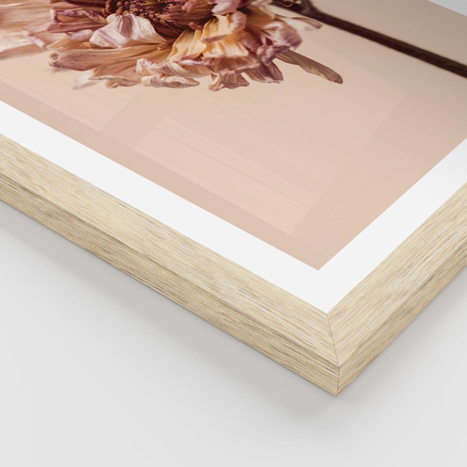 Plakat w ramie 40x50 - Delikatne piękno - suche, kwiaty - rama drewno