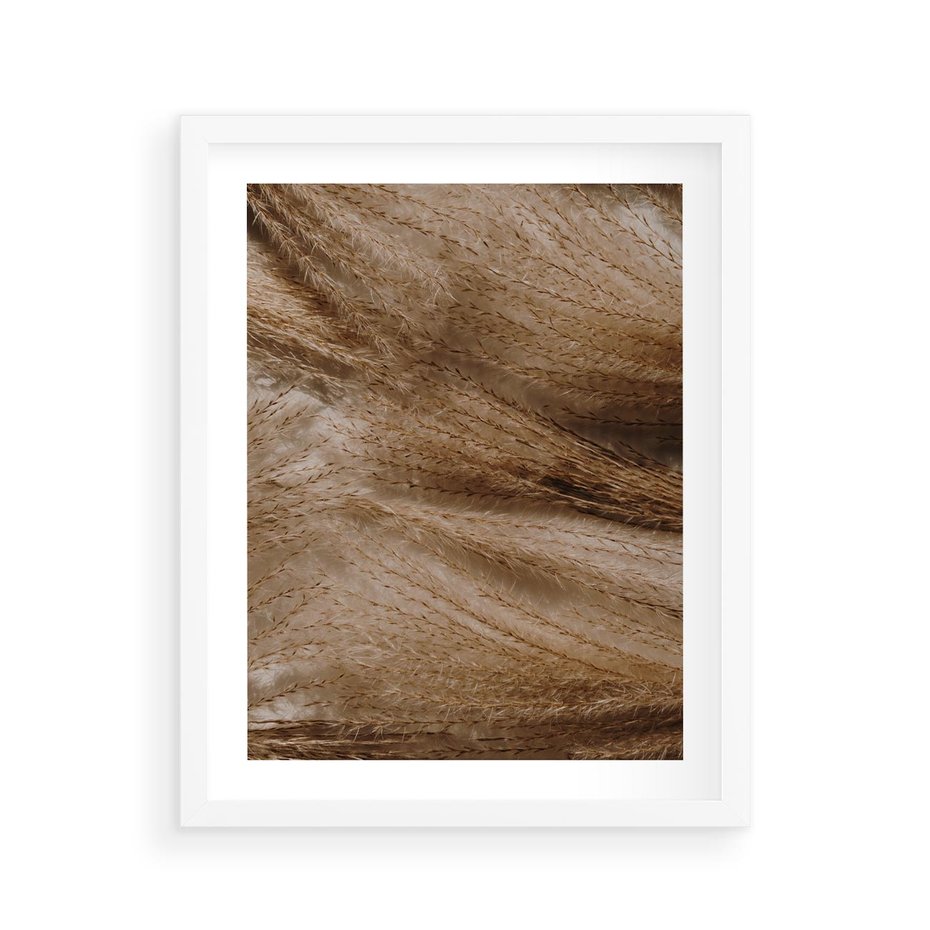 Plakat w ramie 40x50 - Pampasowy Brąz - suche trawy, trawa pampasowa - rama biała