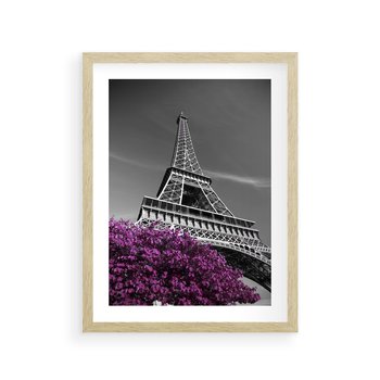 Plakat w ramie 40x50 - Urok Eiffla w Paryżu - Eiffla, Paryż - rama drewno