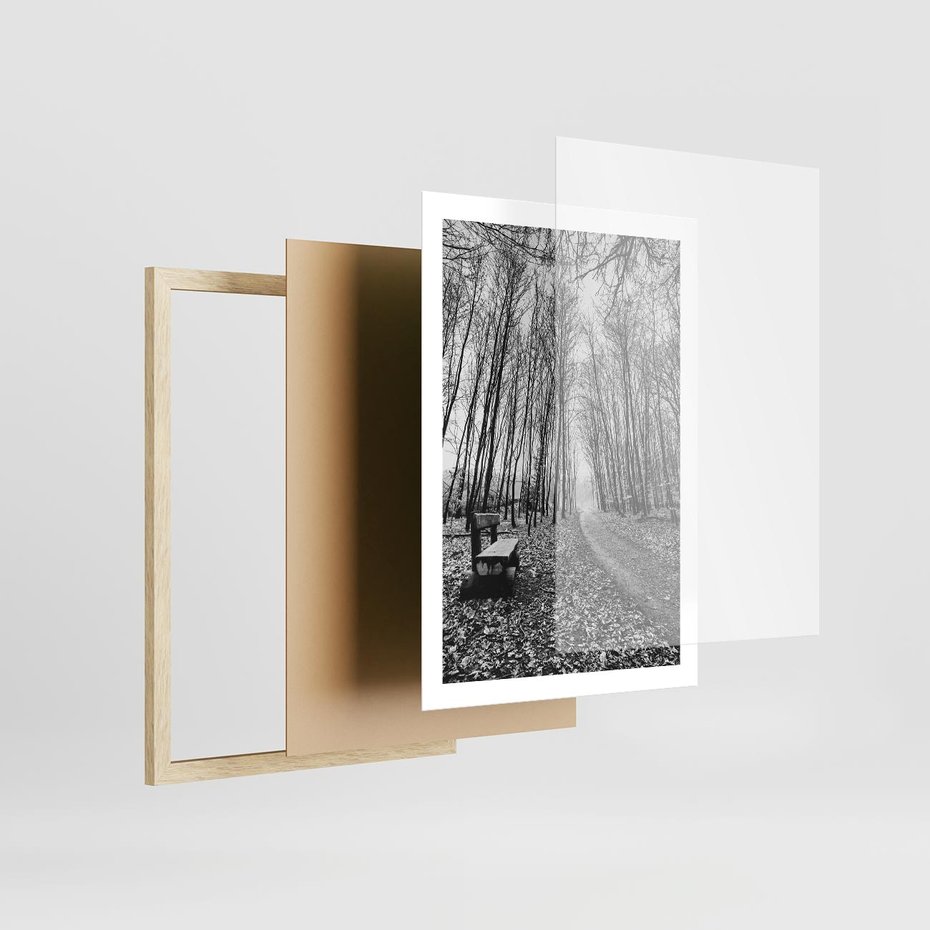 Plakat w ramie 50x70 - Spadające Liście - czarno białe zdjecie, park - rama drewno