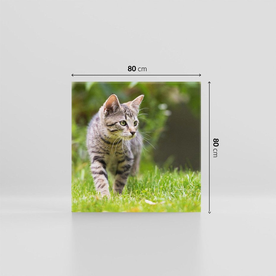 Obraz na płótnie 80x80 - Kocie polowanie w ogrodzie - kot, polowanie