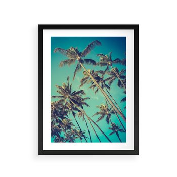 Plakat w ramie 40x50 - Tropikalne palmy w krainie słonecznych wakacji - palmy, tropiki - rama czarna
