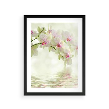 Plakat w ramie 40x50 - Orchidea w Spa - orchidea, kwiaty - rama czarna