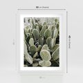 Plakat w ramie 30x40 - Kaktusowa Harmonia - kaktusy, fotografia - rama biała