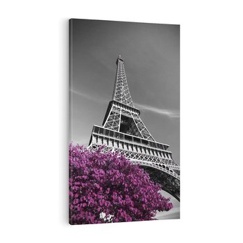 Obraz na płótnie 80x120 - Urok Eiffla w Paryżu - Eiffla, Paryż