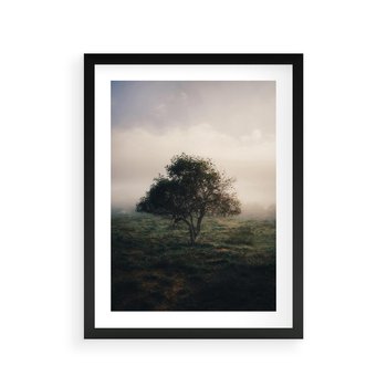 Plakat w ramie 30x40 - Zamglona Prostota - artystyczna fotografia, samotne drzewo na zamglonej łące - rama czarna