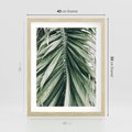 Plakat w ramie 40x50 - Spokojna Piękność Palmowych Liści - palma, liście palmy - rama drewno