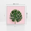 Obraz w ramie 80x80 - Egzotyczna Roślinność - liście, monstera - rama biała