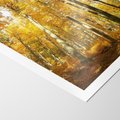 Plakat bez ramy 30x40 - Jesienny Las - Kolorowa Paleta Natury - jesień, drzewa