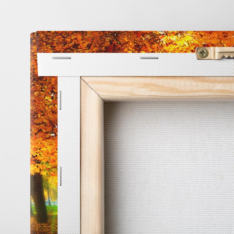 Obraz na płótnie 30x30 - Magia jesiennego lasu - las, drzewa