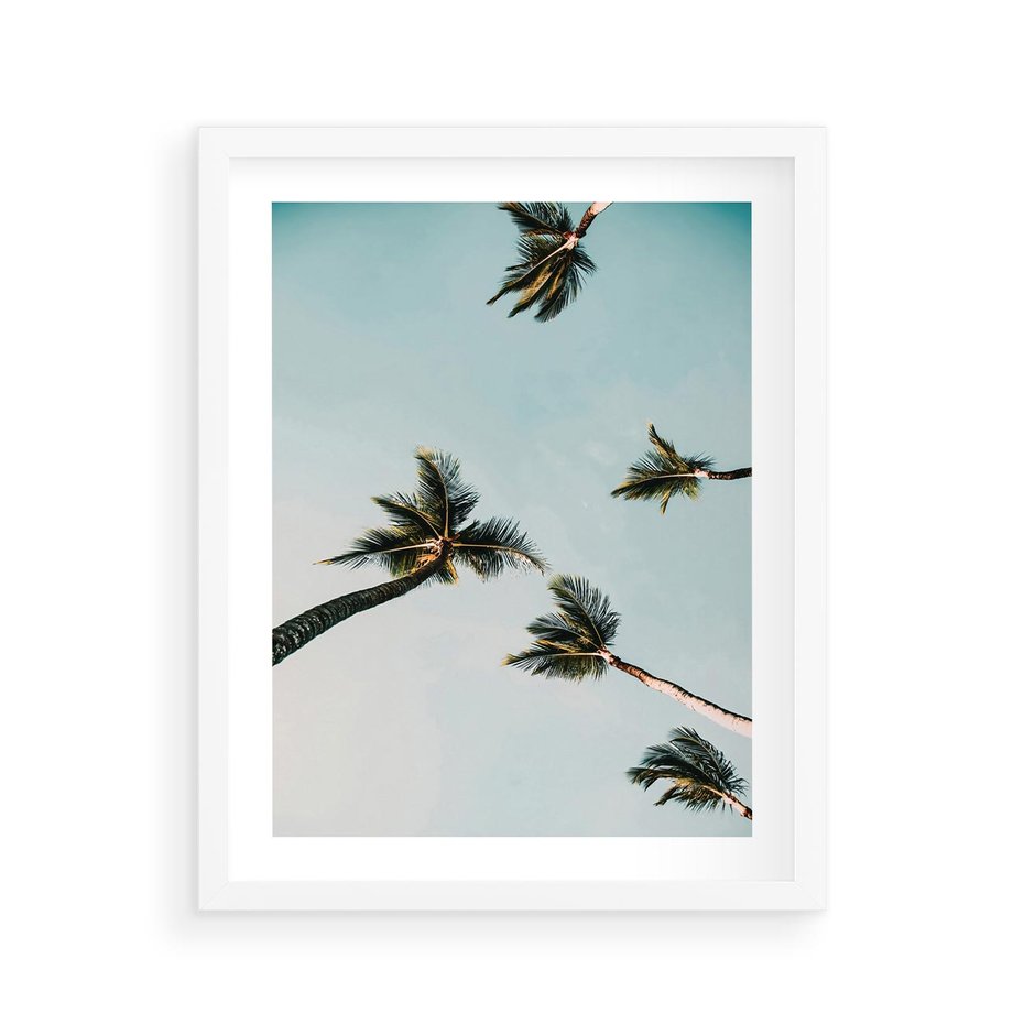 Plakat w ramie 40x50 - Palmy i Niebo - palmy, ujęcie z dołu - rama biała