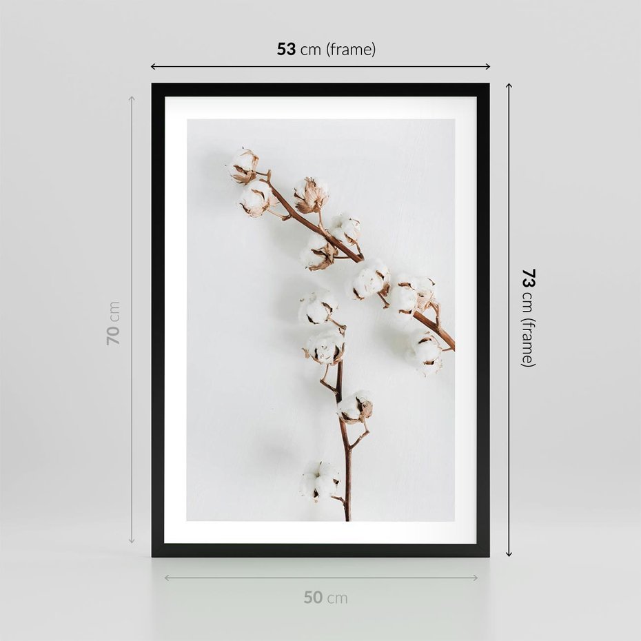Plakat w ramie 50x70 - Gałęzie Bawełny na Białym Tle - gałęzie bawełny na białym tle, minimalizm - rama czarna