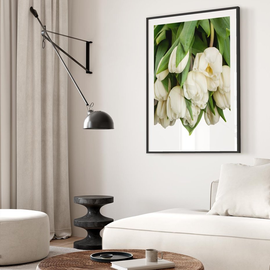 Plakat w ramie 40x50 - Białe tulipany w pełnym rozkwicie - białe, tulipany - rama czarna