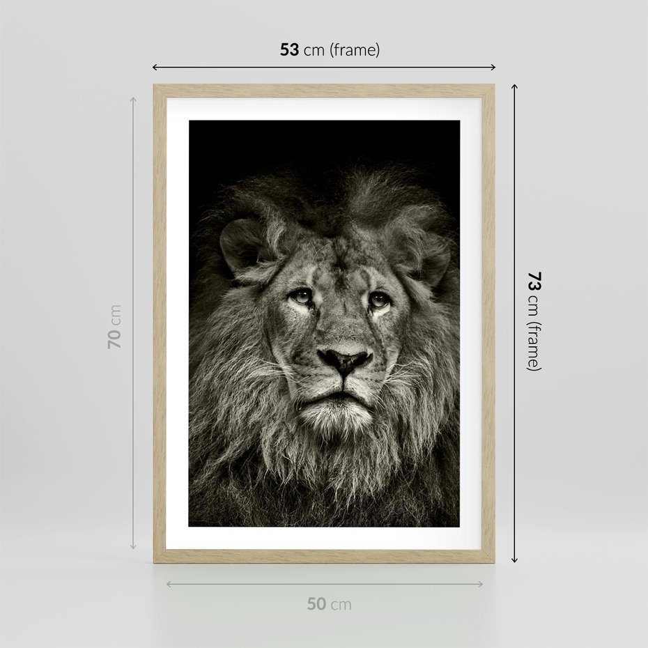 Plakat w ramie 50x70 - Moc lewego spojrzenia - lew, czarno - rama drewno