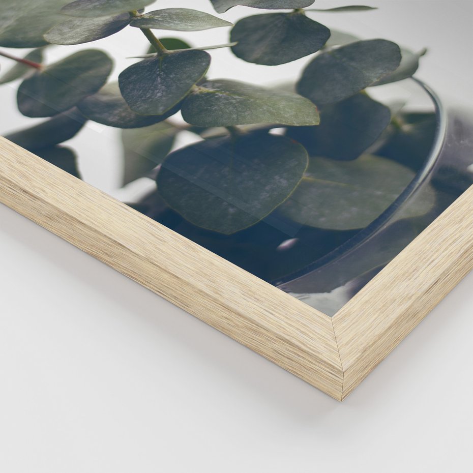 Zestaw obrazy w ramie 50x70 galeria - Eukaliptus, liście, skandynawski, boho - rama drewno