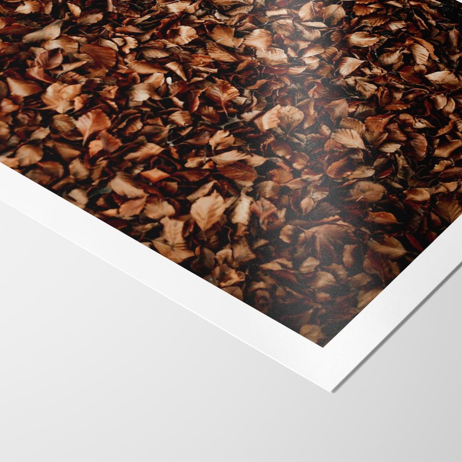 Plakat bez ramy 21x30 - Jesienny Dywan - dywan z suchych liści, jesień