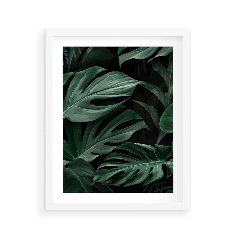 Plakat w ramie 40x50 - Zielone Liście Monstery w Dżungli - zielone liście monstery, dżungla - rama biała