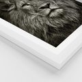 Plakat w ramie 30x40 - Moc lewego spojrzenia - lew, czarno - rama biała