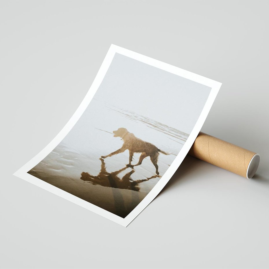 Plakat bez ramy 21x30 - Przyjaciel na Plaży - pies, na plaży