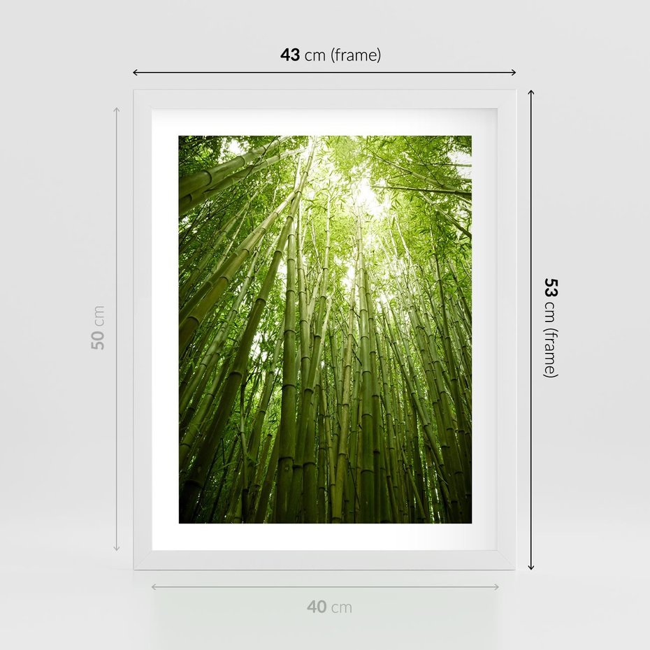 Plakat w ramie 40x50 - Siła Natury - drzewa, las - rama biała